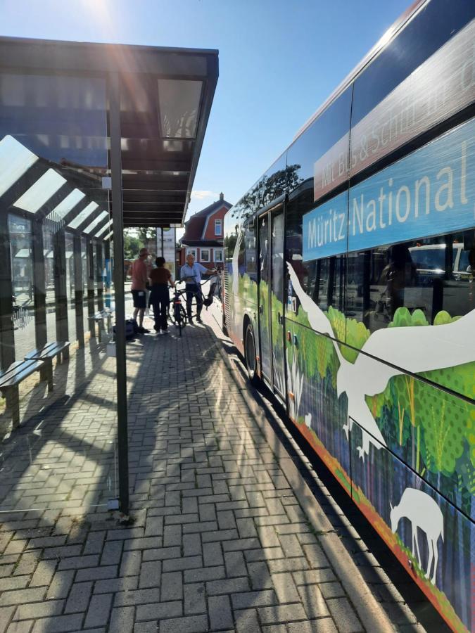 Das Kleine, Gemuetliche Ferienhaus Ludorf Exteriör bild