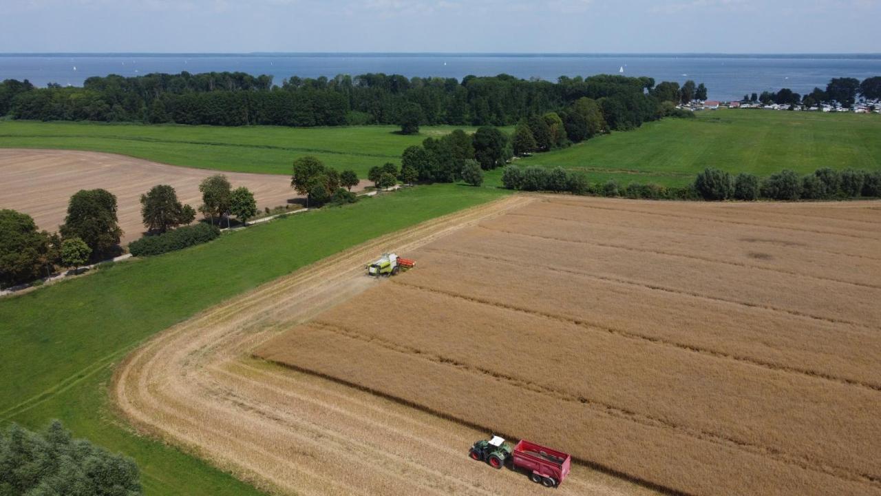 Das Kleine, Gemuetliche Ferienhaus Ludorf Exteriör bild