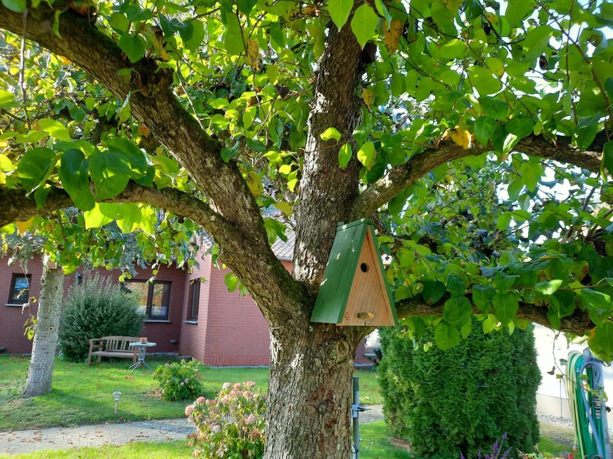 Das Kleine, Gemuetliche Ferienhaus Ludorf Exteriör bild